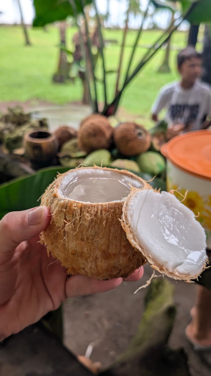 Böëna Costa Rica