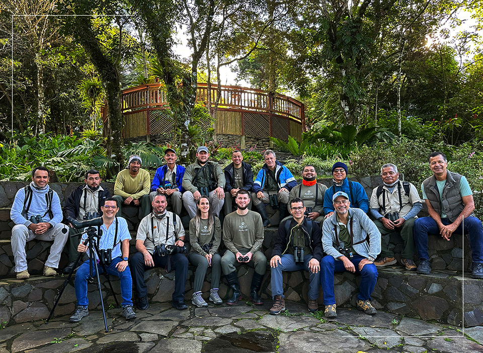 Tortuga Ldoge Costa Rica