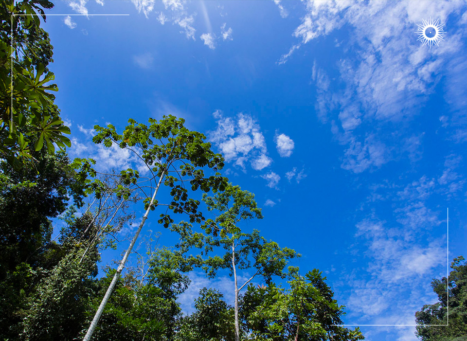 Sustainability Report 2023