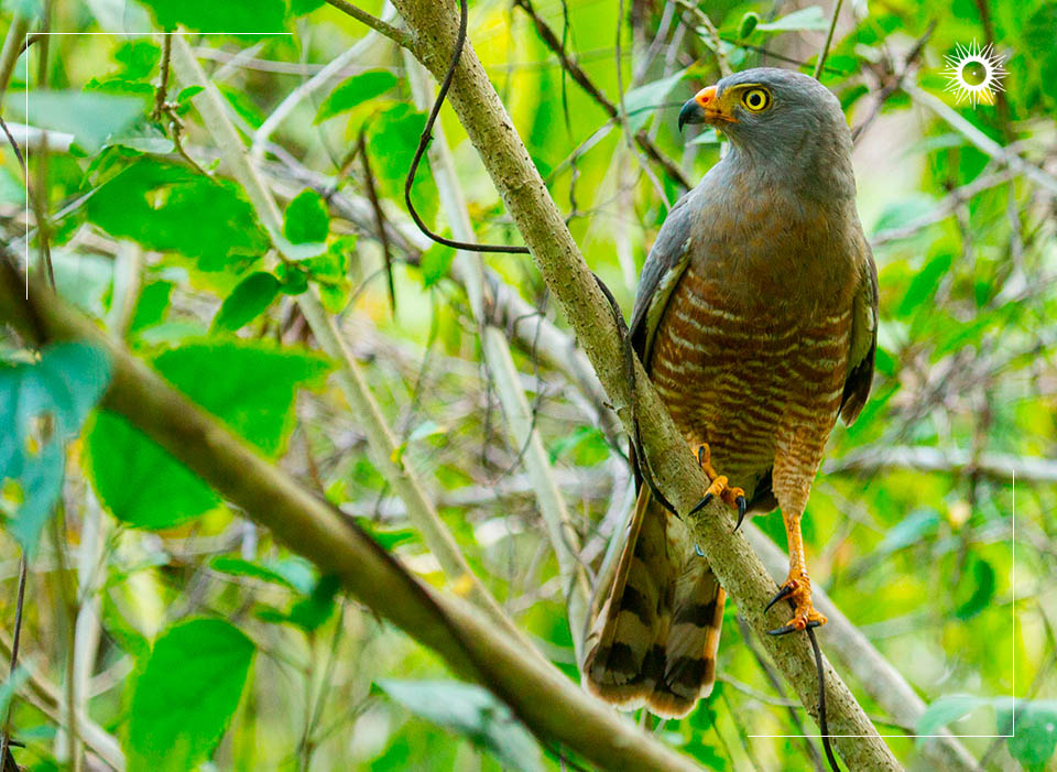 Böëna Costa Rica Packages